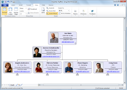 humanconcepts orgplus standard orgplus professional org chart plus