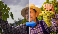 Enhance videos quickly with video editing software PowerDirector